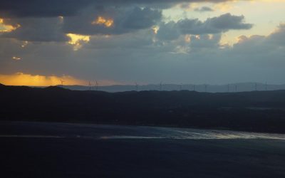 WP 6.1 Theme block category